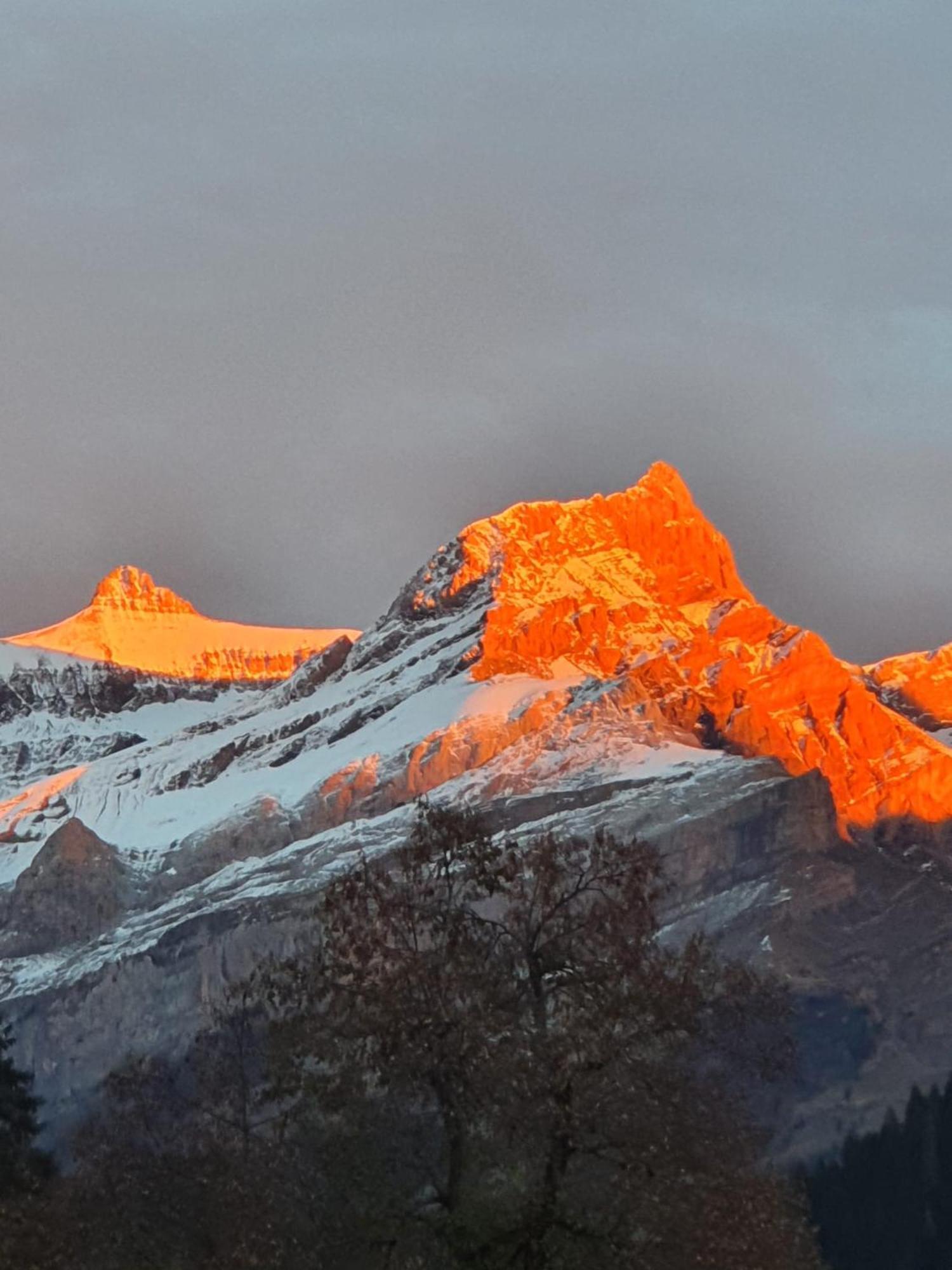 B&B Chalet La Croisee Vers L'Eglise エクステリア 写真