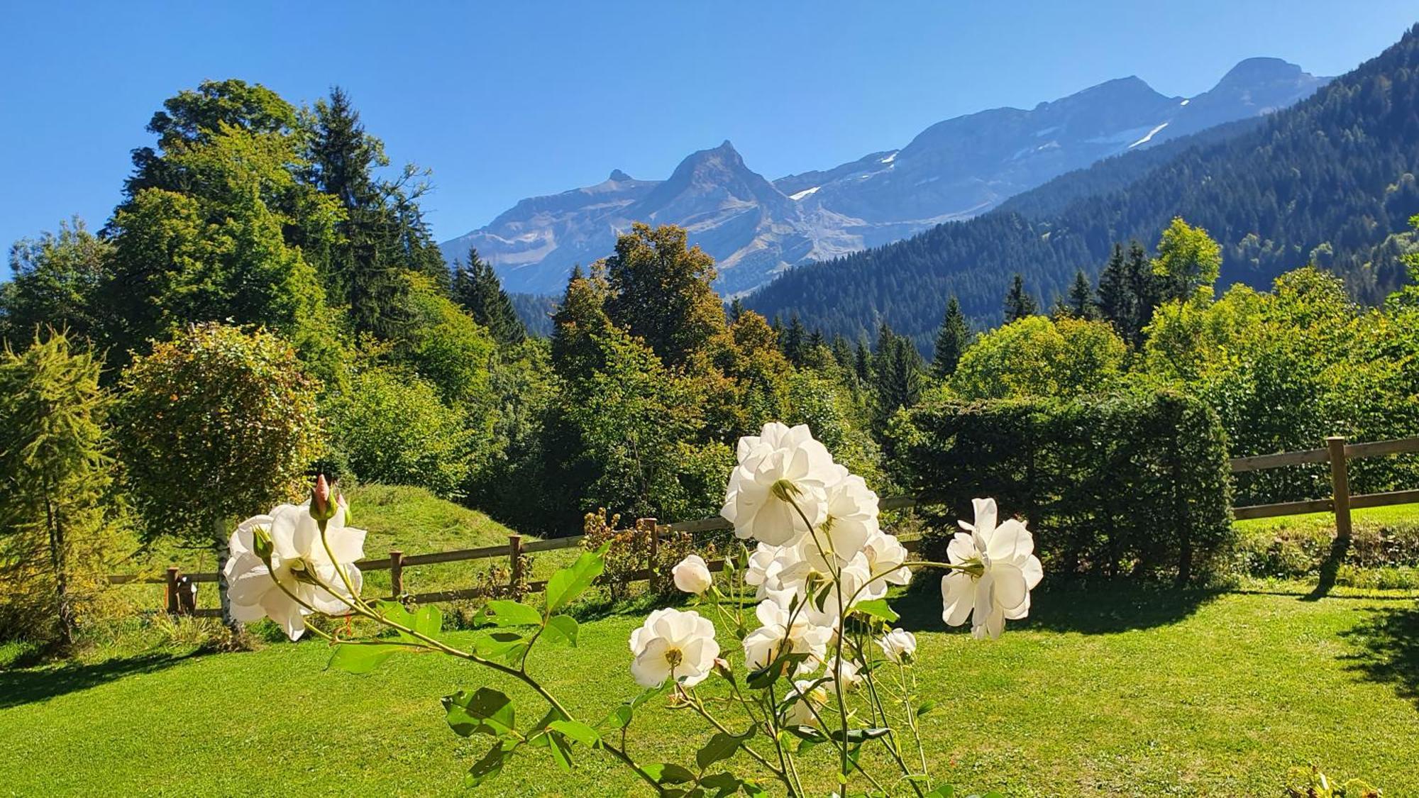 B&B Chalet La Croisee Vers L'Eglise エクステリア 写真