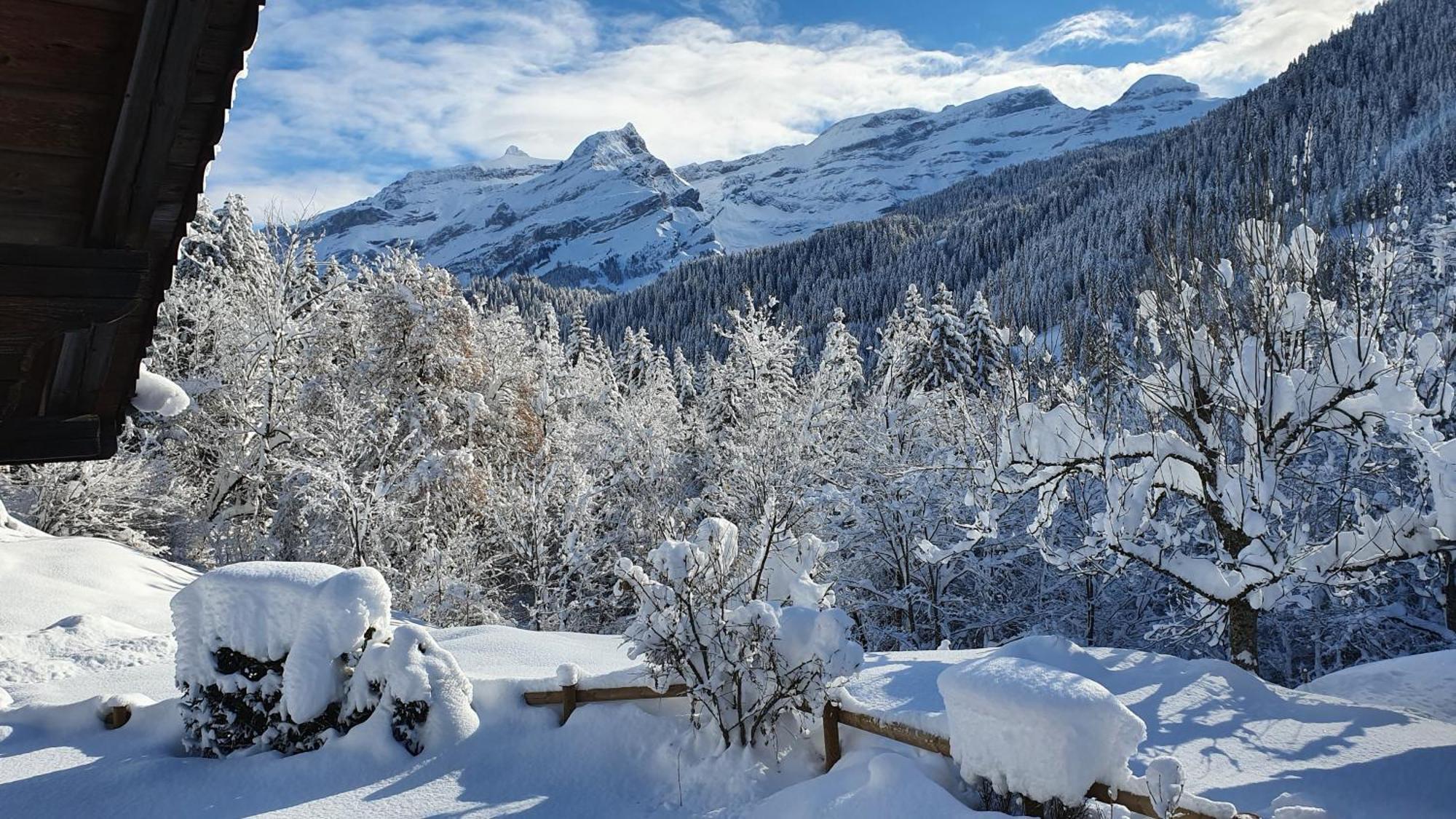 B&B Chalet La Croisee Vers L'Eglise エクステリア 写真